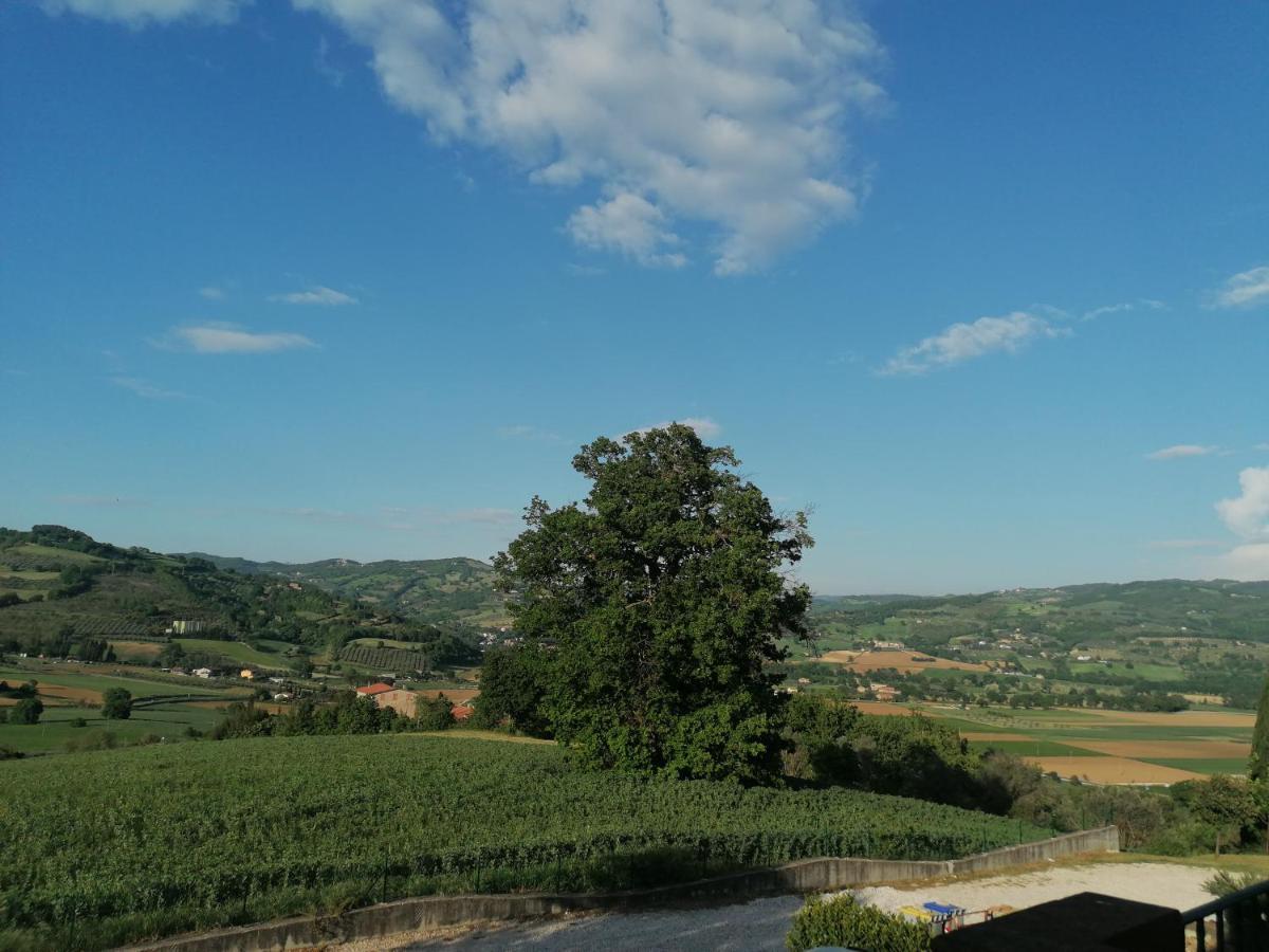 Iliria