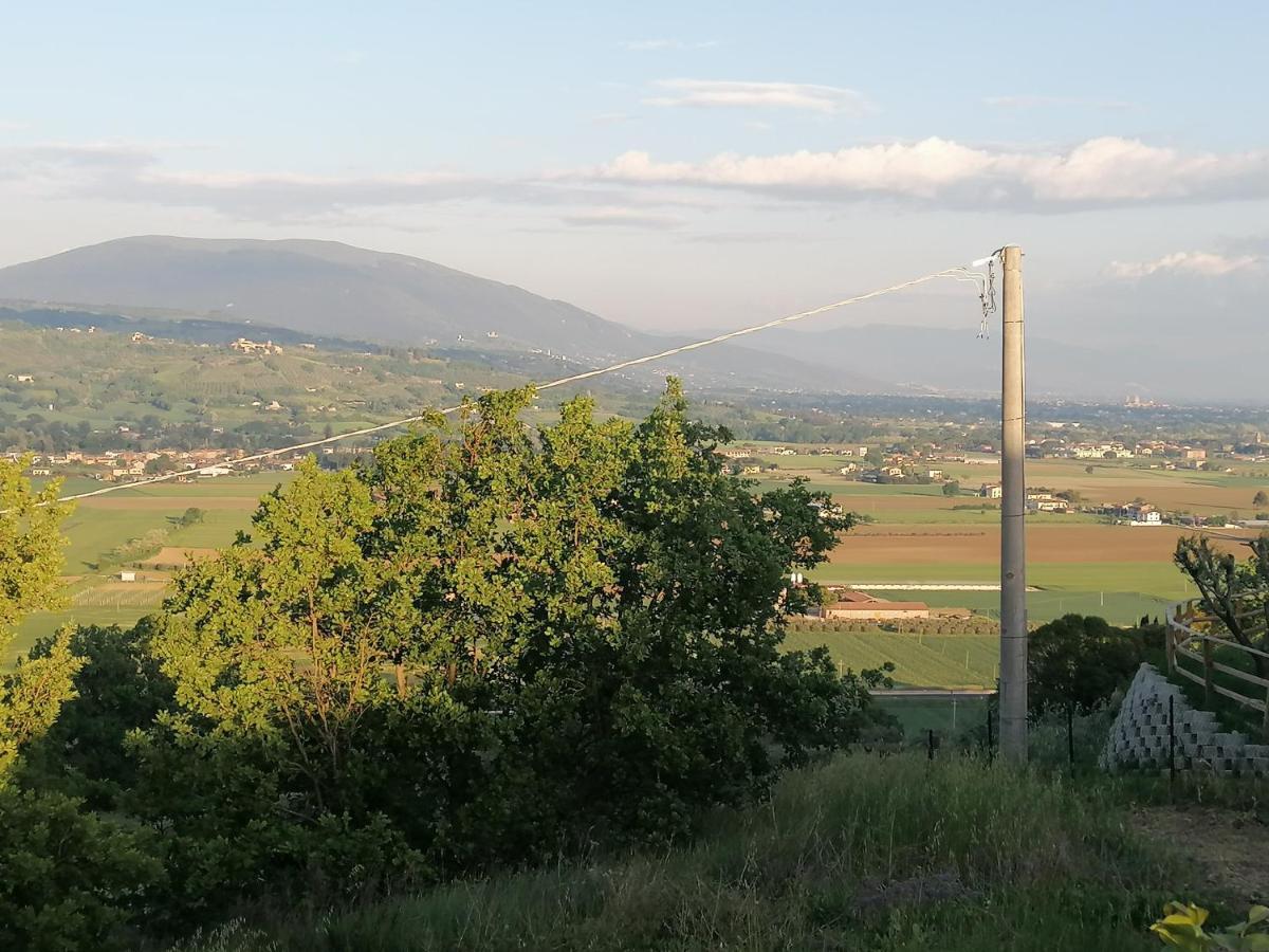 Iliria
